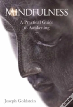 Capa do artigo Mindfulness
