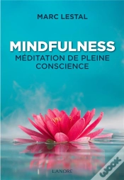 Capa do artigo Mindfulness Meditation De Pleine Conscience