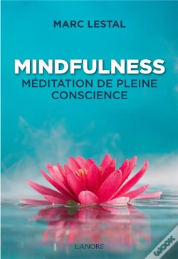 Capa do artigo Mindfulness Meditation De Pleine Conscience