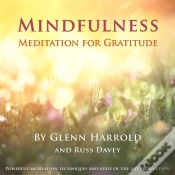 Capa do artigo Mindfulness Meditation For Gratitude