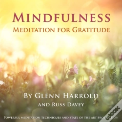 Capa do artigo Mindfulness Meditation For Gratitude