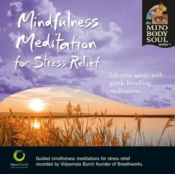 Capa do artigo Mindfulness Meditation for Stress Relief - CD