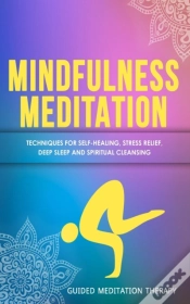 Capa do artigo Mindfulness Meditation