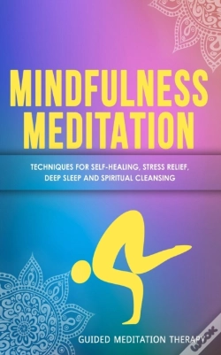 Capa do artigo Mindfulness Meditation