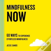 Capa do artigo Mindfulness Now