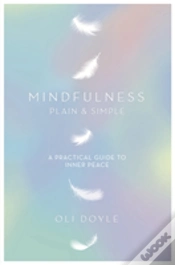 Capa do artigo Mindfulness Plain & Simple