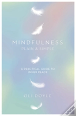 Capa do artigo Mindfulness Plain & Simple