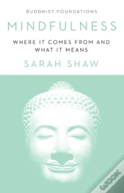 Capa do artigo Mindfulness