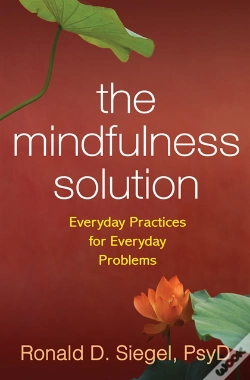 Capa do artigo Mindfulness Solution