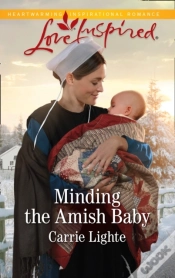 Capa do artigo Minding The Amish Baby