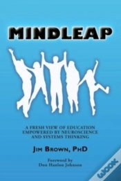 Capa do artigo Mindleap