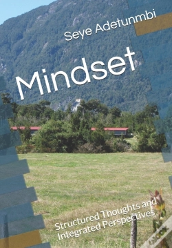 Capa do artigo Mindset