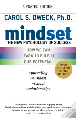Capa do artigo Mindset