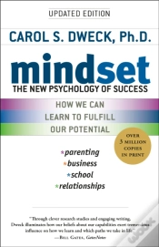 Capa do artigo Mindset