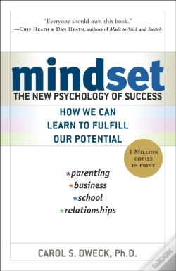 Capa do artigo Mindset