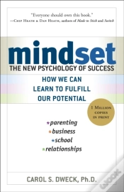 Capa do artigo Mindset