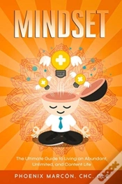 Capa do artigo Mindset