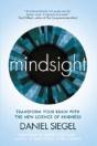 Mindsight - Preview