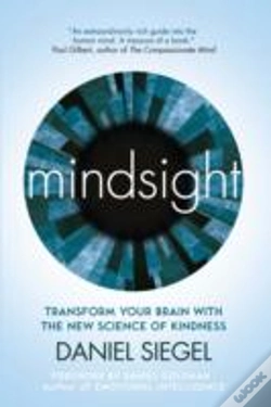 Capa do artigo Mindsight