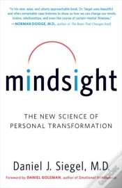 Capa do artigo Mindsight