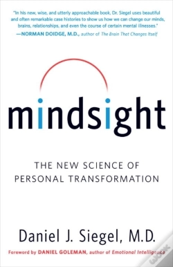 Capa do artigo Mindsight