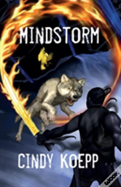 Capa do artigo Mindstorm
