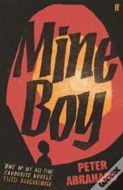 Capa do artigo Mine Boy