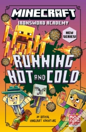 Capa do artigo Minecraft Running Hot And Cold