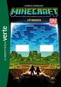 Minecraft Tome 4 : L'Étranger - Preview
