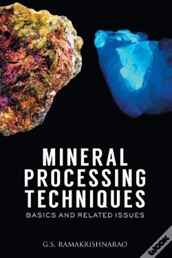 Capa do artigo Mineral Processing Techniques Basics And Related Issues