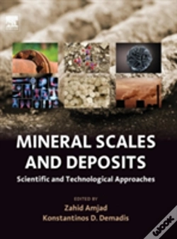 Capa do artigo Mineral Scales And Deposits