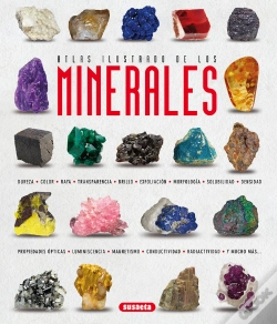 Capa do artigo Minerales