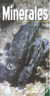 Capa do artigo Minerales