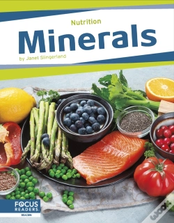 Capa do artigo Minerals