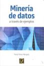 Mineria De Datos A Traves De Ejemplos  - Preview