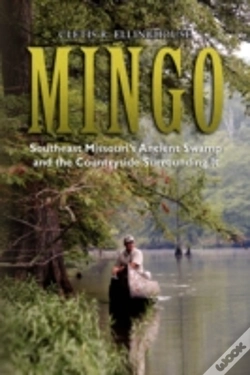 Capa do artigo Mingo