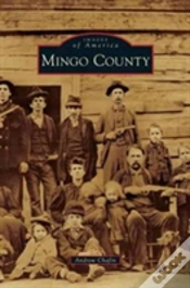 Capa do artigo Mingo County