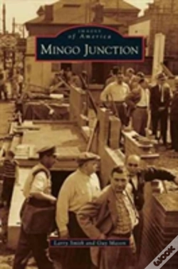 Capa do artigo Mingo Junction