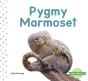 Mini Animals: Pygmy Marmoset - Preview