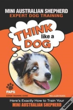 Capa do artigo Mini Australian Shepherd  Expert Dog Training