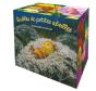Mini-Bibliothèque Les Drôles De Petites Abeilles : Coffret De 6 Histoires - Preview