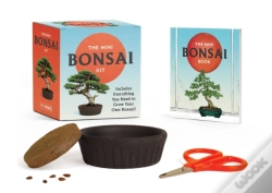 Capa do artigo Mini Bonsai Kit
