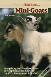 Capa do artigo Mini-Goats