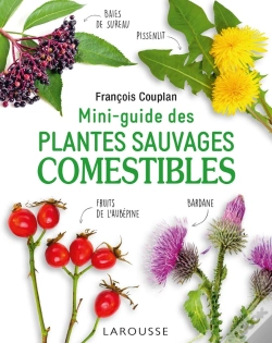Capa do artigo Mini-Guide Des Plantes Sauvages Comestibles