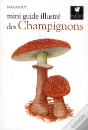 Capa do artigo Mini Guide Illustré Des Champignons
