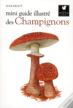 Capa do artigo Mini Guide Illustré Des Champignons
