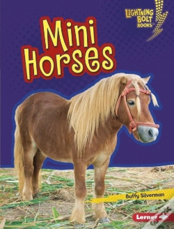 Capa do artigo Mini Horses