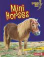 Mini Horses - Preview