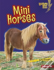 Capa do artigo Mini Horses