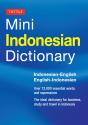 Mini Indonesian Dictionary - Preview